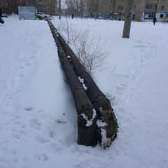 Два участка на проспекте Абая