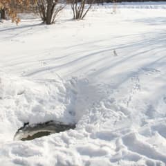 Тихий омут за домом культуры
