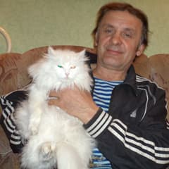 Кошка Сима и ее СИМейство