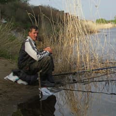 Плодись, рыбка, большая и маленькая
