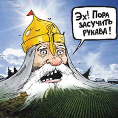 После ревизии придет инспекция
