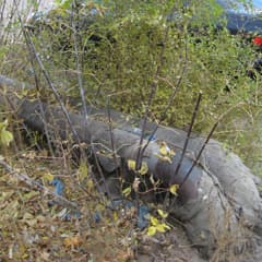 Греют воздух и портят улицу