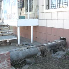 Не для людей, а для котов