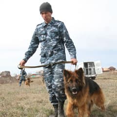 Обошли дачи, промзону, лесопосадки...