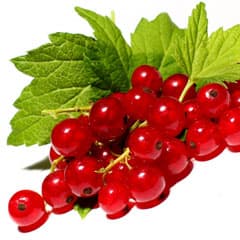 С секатором наперевес