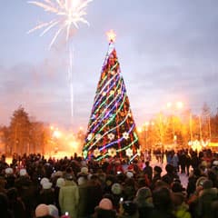 В Костанае зажгли иллюминацию на главной новогодней ели города