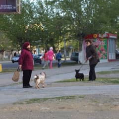 Доработали «под ноль»