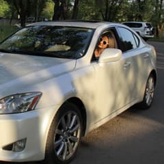 Стремительный Lexus IS-250
