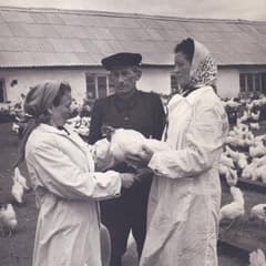 И прочие достижения народного хозяйства