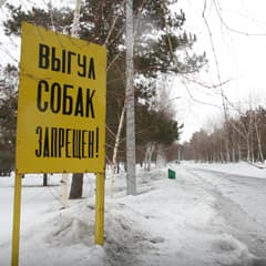 Для собак и кошек или для галочки?