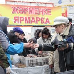 Цены в гору прыг да скок...