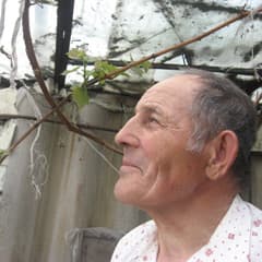 «Вечные» яблони и виноград под крышей