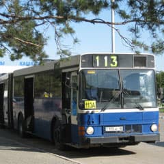 № 113 «А»: в гармонии с «гармошкой»