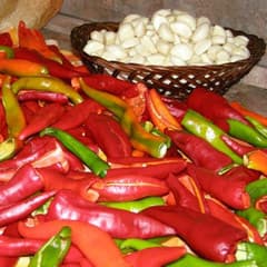 Остро, с орехами…