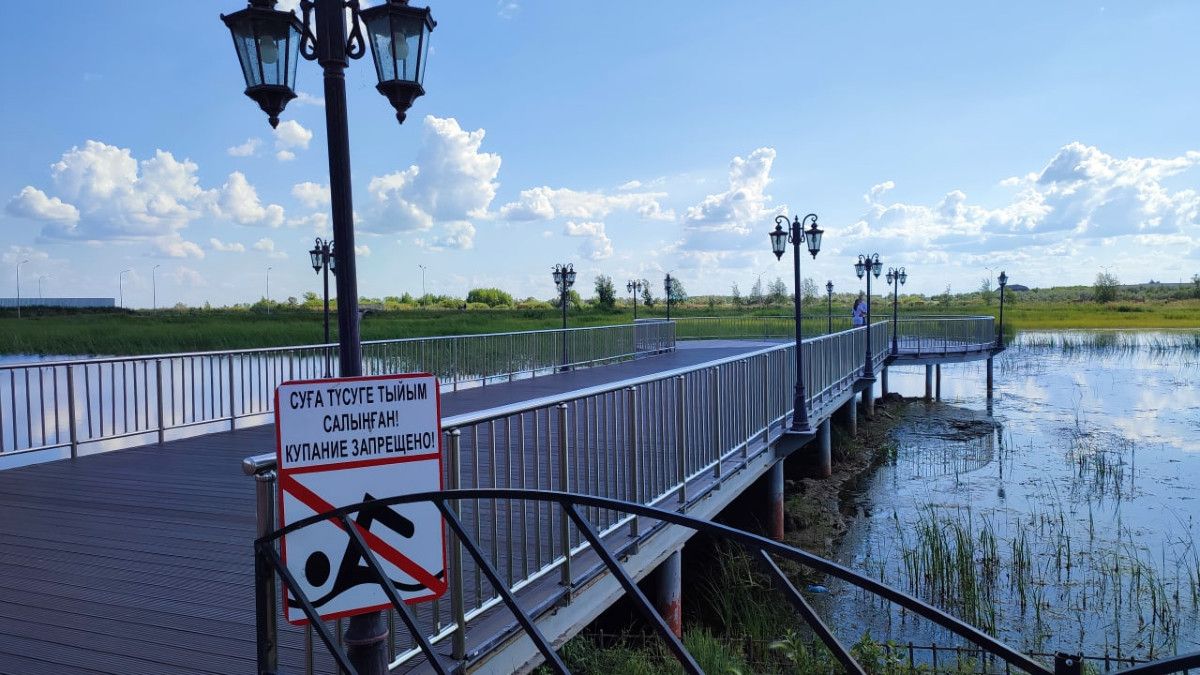 Двух лебедей планируют поселить на озере "Тарелочка" в Костанае
